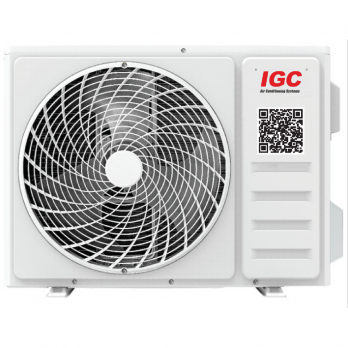 IGC RAS/RAC-09АТ